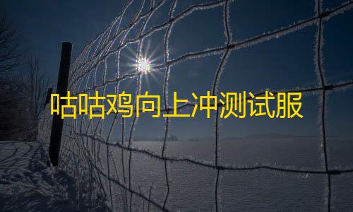 暗区突围透视工具咕咕鸡向上冲测试服